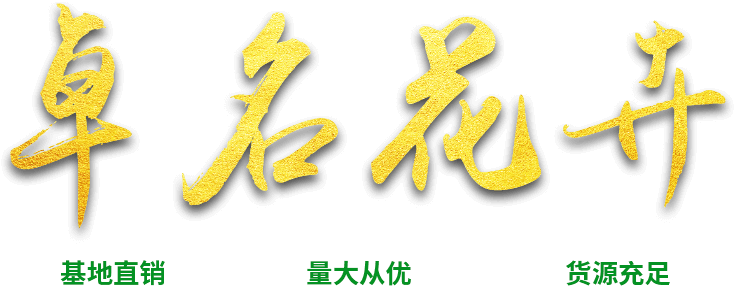 花卉苗木信赖品牌-卓名花卉