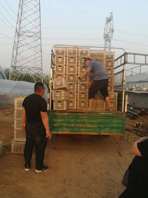 发货现场